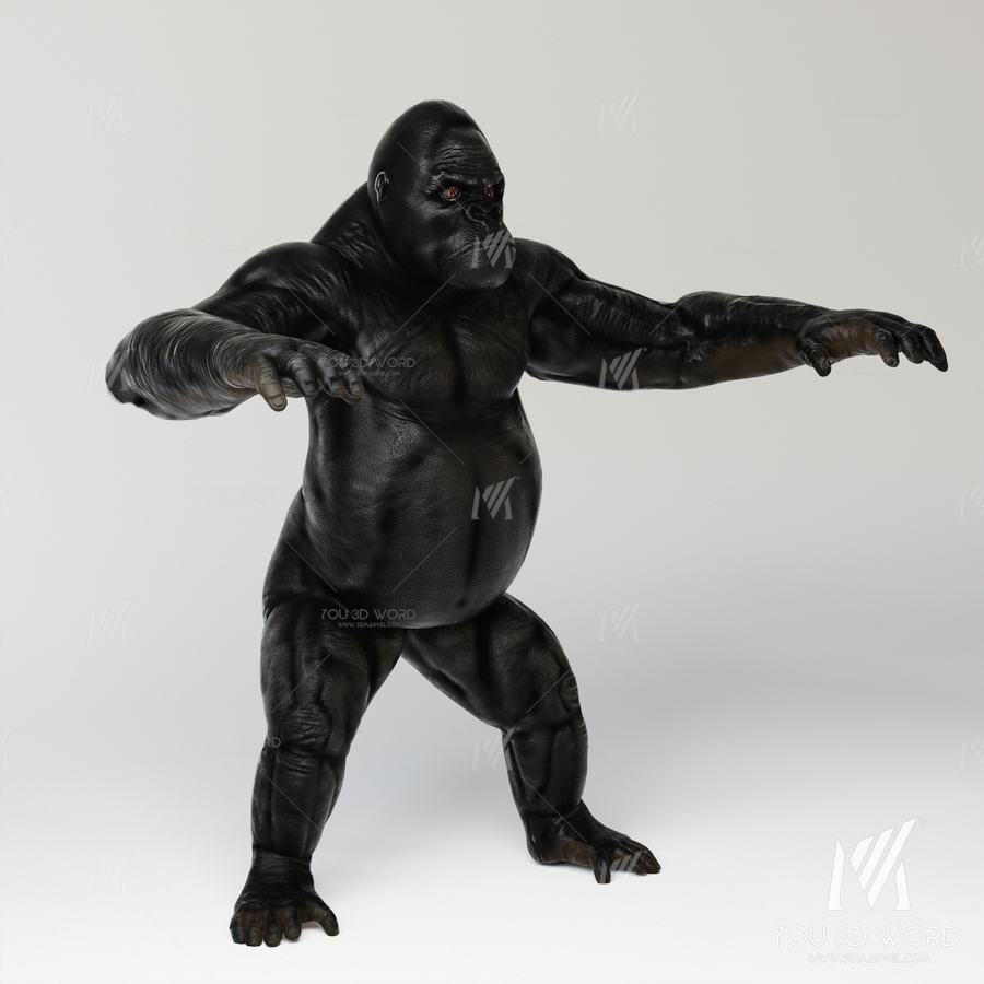 Gorilla